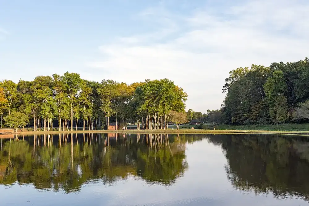Trees reflected in a still pond at an office park in Huntersville, North Carolina