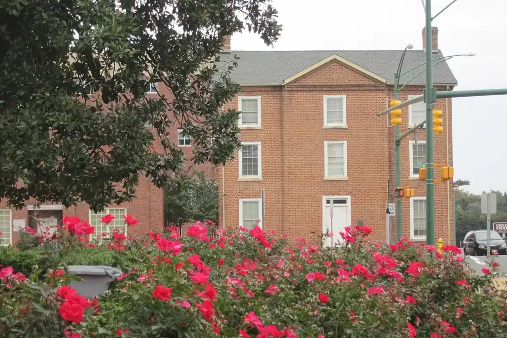 Historic Monroe City Hall seen past red roses on the old courthouse lawn in Monroe, North Carolina